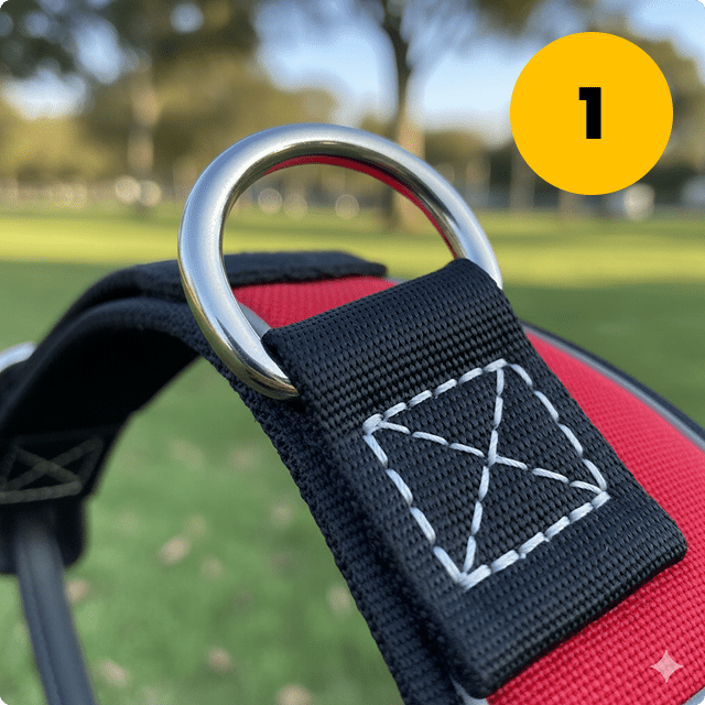 primer paso de como colocar el cinturón tango180 según las instrucciones