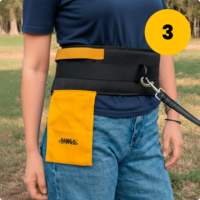 tercer paso de como colocar el cinturón tango180 según las instrucciones